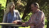 Why older adults take fewer risks
