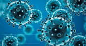 40 new Covid cases reported in country
